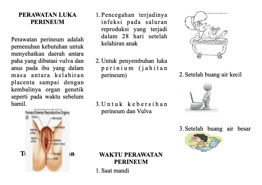 Gizi Ibu Hamil