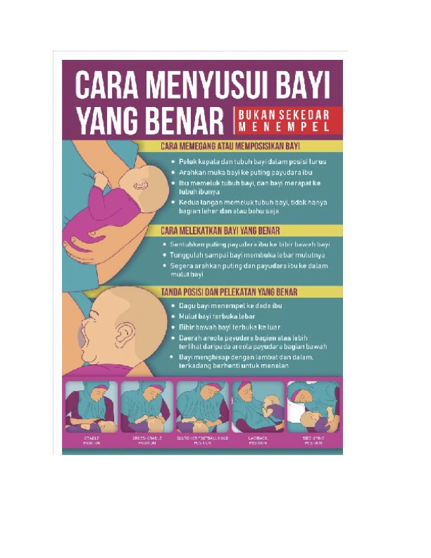 Gizi Ibu Hamil
