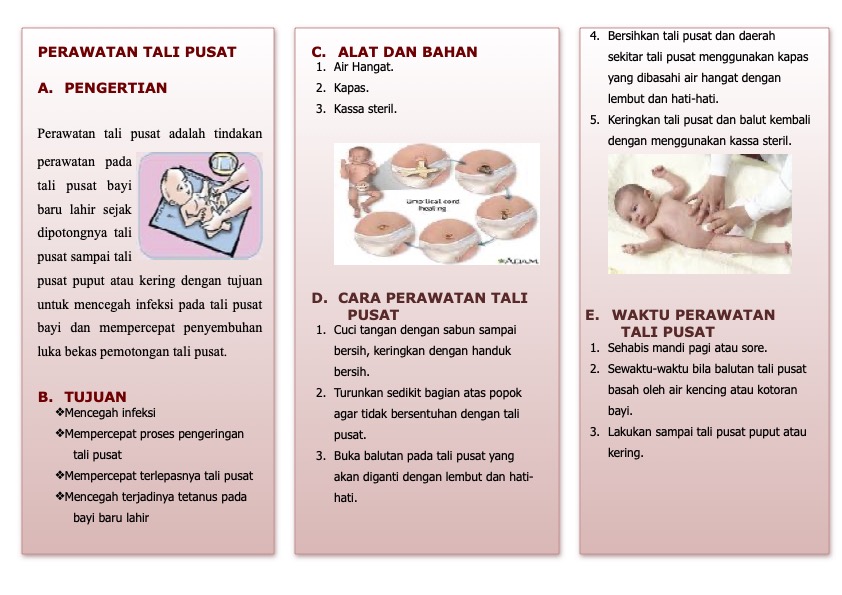 Gizi Ibu Hamil