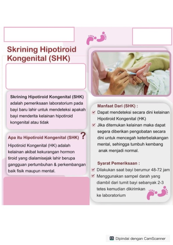 Gizi Ibu Hamil