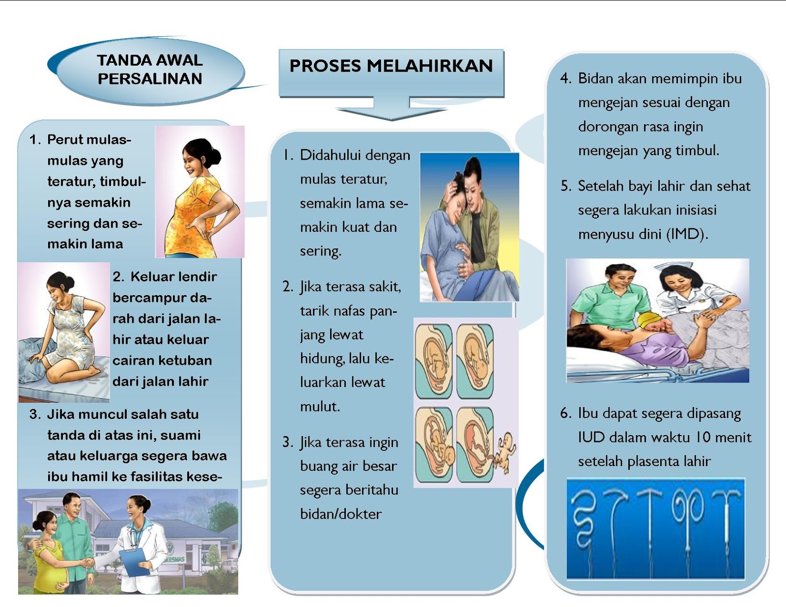 Gizi Ibu Hamil